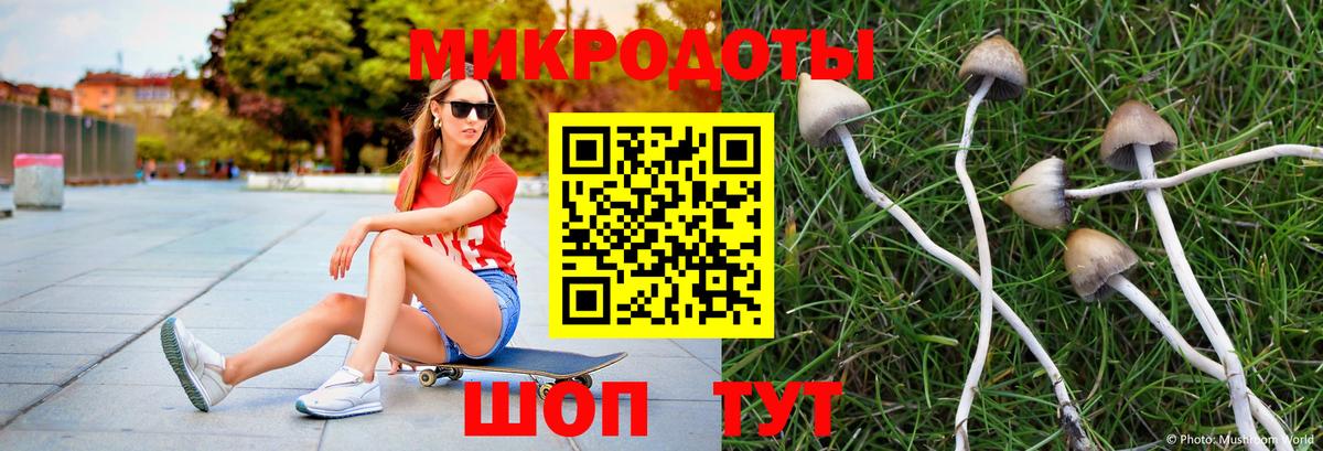 закладка  Вход с VPN  Светлоград  Псилоцибиновые грибы мицелий 