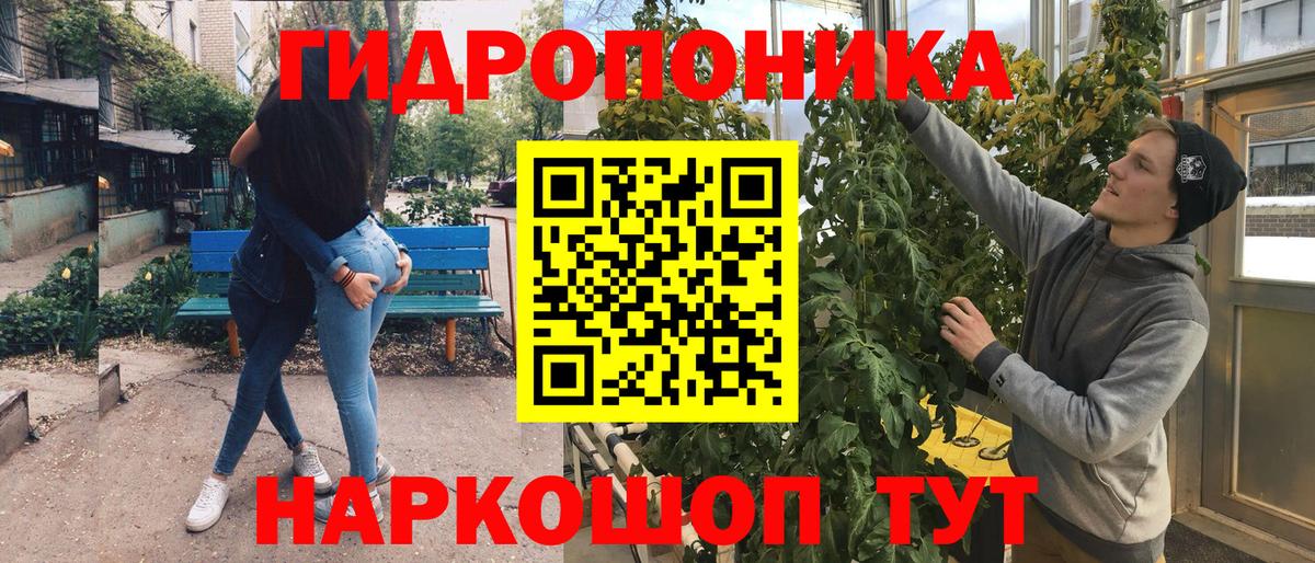 Шишки марихуана семена  Марихуана Bruce Banner  Марихуана AK-47  Вход с VPN  Светлоград 